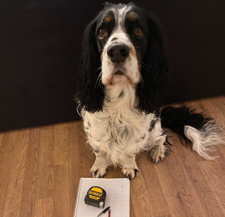 A dog sits beside a notepad and a tape measure on a wooden floor.