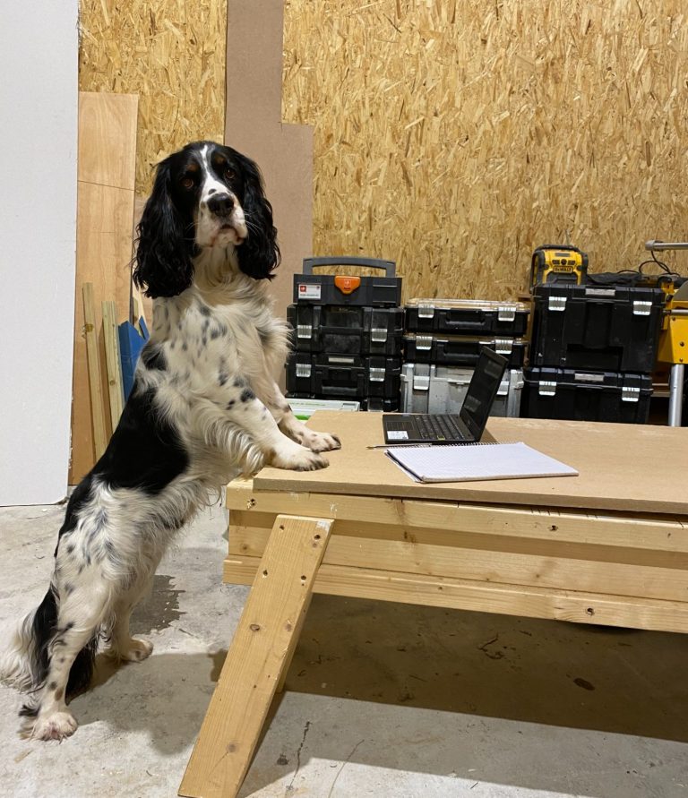 A dog stands on its hind legs beside a workbench in a garage.