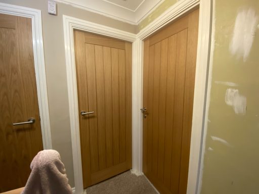 Two wooden doors in a hallway, with a light beige wall and carpet.